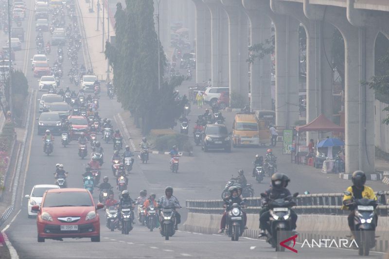 BNPB: Luas karhutla Sumsel turun 88 persen dalam tiga tahun terakhir