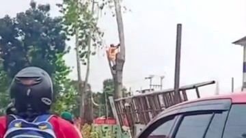 Momen Pekerja Terpental Saat Tebang Pohon di Depok Bikin Warga Histeris
