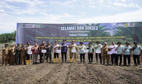 PTPN IV PalmCo Dorong Peremajaan Sawit Rakyat di Asahan, Disertai Tanam Padi Gogo