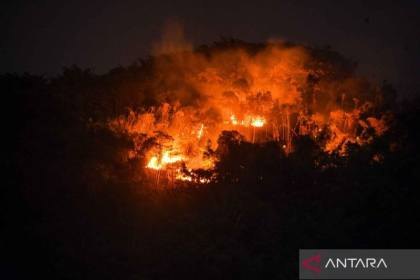 Penyebab kebakaran hutan dan cara menanggulanginya