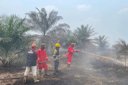 KPH Wilayah Kayong sinergi lintas sektor tangani karhutla di Kayong Utara