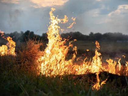 Karhutla Terus Berulang, Walhi Soroti Gagalnya Negara Jalankan Mandat TAP MPR 2001