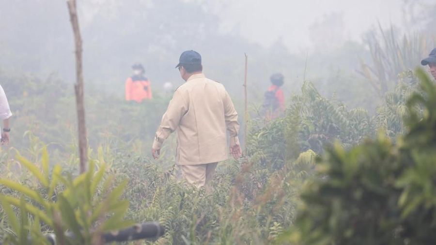 Tegas! Prabowo Ancam Cabut Izin Perusahaan Penyebab Kebakaran Hutan