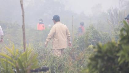 Tegas! Prabowo Ancam Cabut Izin Perusahaan Penyebab Kebakaran Hutan