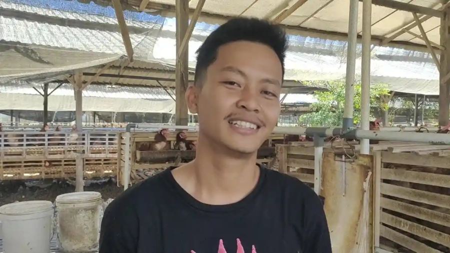 Dari 5.000 Jadi 40.000 Ayam, Peternak Sidrap Ini Raup Penjualan Rp29,4 Juta Sehari