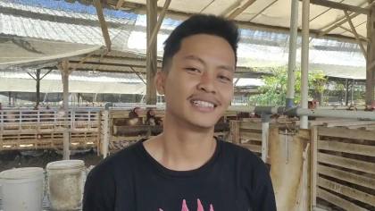 Dari 5.000 Jadi 40.000 Ayam, Peternak Sidrap Ini Raup Penjualan Rp29,4 Juta Sehari