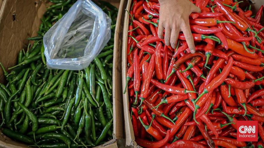 Harga Cabai Kian Pedas Pekan Ketiga Agustus, Rawit Tembus Rp200 Ribu