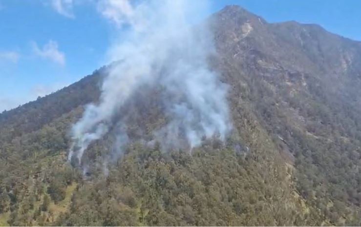 Titik Api Mendadak Muncul, Karhutla Kembali Mengancam Kawasan Taman Nasional Bromo