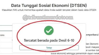 Cara Cek Desil 1 sampai 10 Pakai NIK di DTSEN 2026 dan Cek Bansos Kemensos