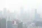 Kelompok Paling Rentan Terdampak Polusi Udara dan Langkah Mencegah Bahaya PM2.5