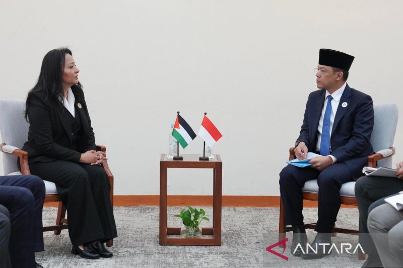 Indonesia dukung Inggris larang impor dari pemukiman ilegal Israel