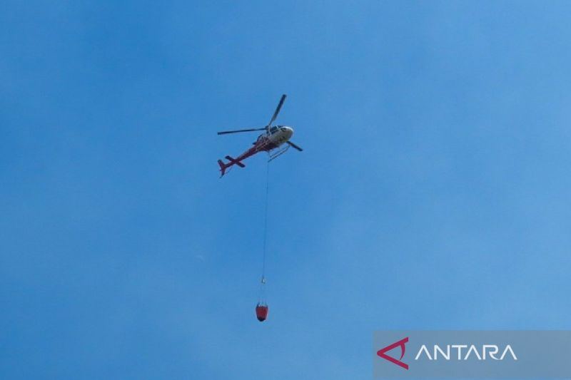 Karhutla di kawasan Taman Wisata Alam Ijen mulai berkurang
