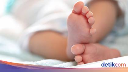 Bayi Lengkap Ari-ari Ditemukan dalam Kardus di Depan Rumah Makan Ambon