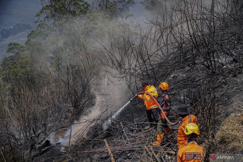 TNBTS sebut titik asap di Bromo berhasil dilokalisasi petugas gabungan