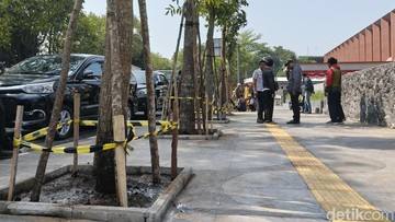10 Pohon Kembali Ditanam di Depan SixNine Padel Bandung, Ini Jenisnya