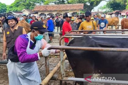 Pemkab Blora periksa kebuntingan 1.402 sapi selama semester I 2026