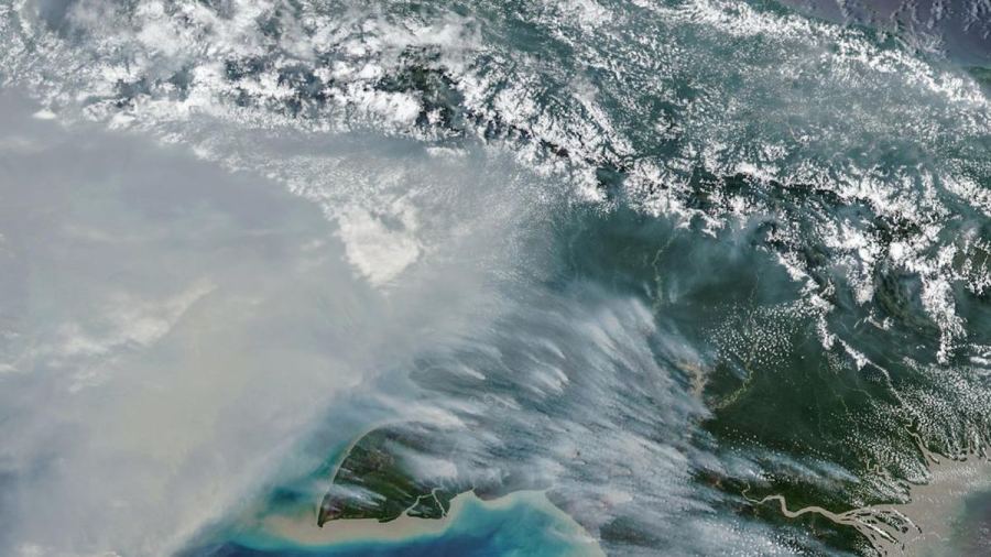 Update Karhutla Papua: 2.393 Hektare Terbakar, Masih Ada 73 Hotspot