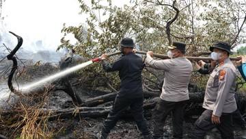 Kapolda Sebut Hotspot di Riau Tersisa 79 Titik, Karhutla di Kerumutan Zero