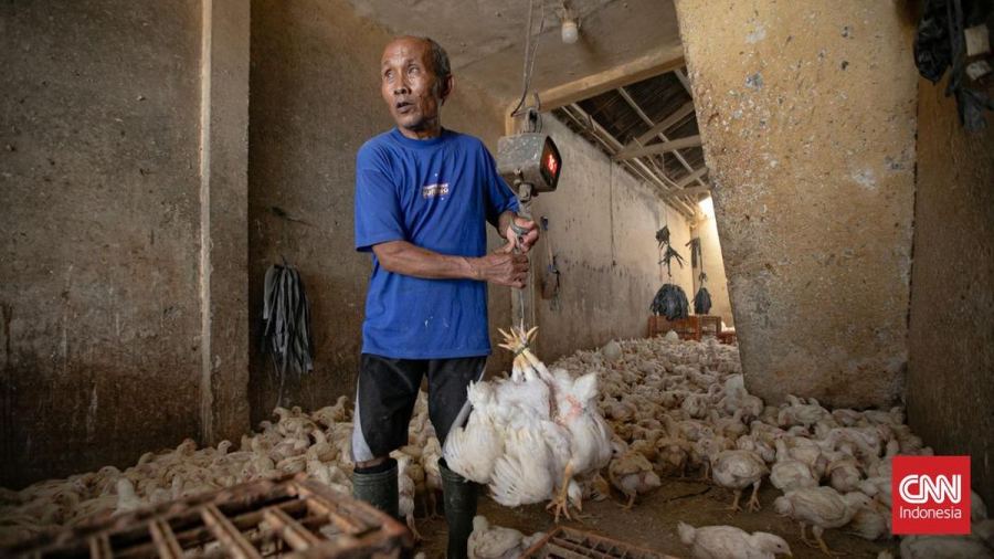 FOTO: Inflasi Agustus 3,19 Persen, Harga Kebutuhan Pokok Naik