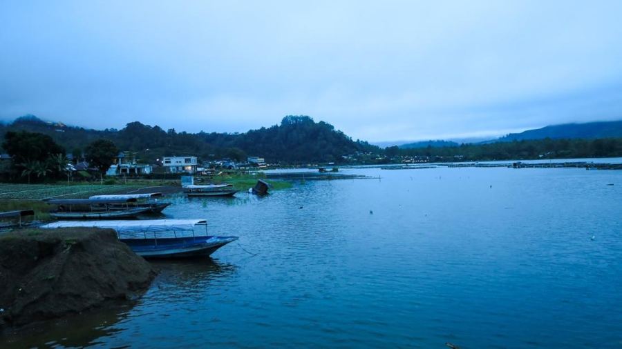 Ikan Mati Massal di Bali, Ada Bau Menyengat