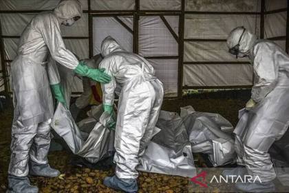 Kasus Ebola di Kongo tembus 6.100, korban meninggal 2.950
