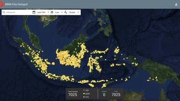 Karhutla di Indonesia Bisa Dipantau Real Time di Situs BRIN Ini!