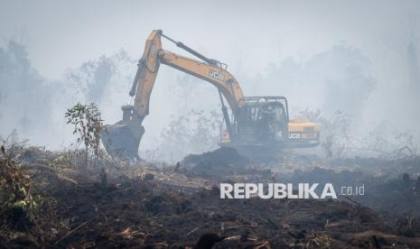 Pakar Hukum Kehutanan Dorong Semua Stakeholder Kolaborasi Cegah Karhutla Meluas