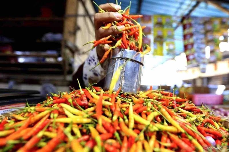 PIHPS catat harga cabai rawit Rp87.250/kg, telur ayam Rp31.450/kg