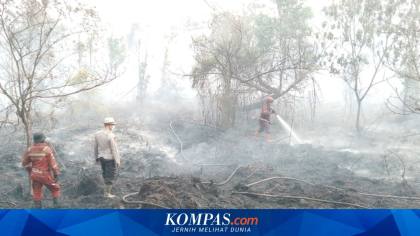 Ulah Manusia di Balik Asap Karhutla, Hutan Sengaja Dibakar demi Buka Lahan