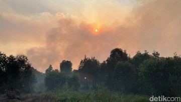 Mengapa Matahari Tampak Memerah di Tengah Karhutla? Ini Kata Pakar IPB