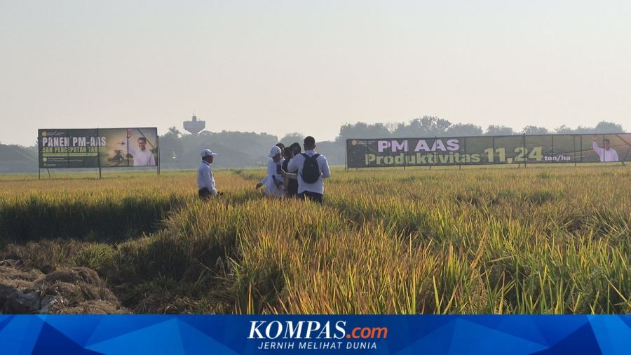 Selamatkan 30.000 Hektare Sawah dari El Nino, Kementan Siapkan Benih Tahan Kering dan Irigasi