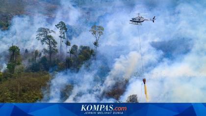 1,05 Juta Liter Air Diguyurkan dari Udara untuk Padamkan Karhutla Kalbar
