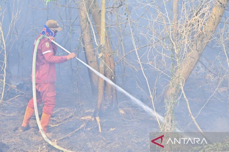 Kalsel tambah tim patroli jadi 20 cegah karhutla meluas