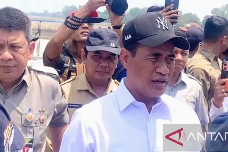 Mentan cek langsung kekeringan mengancam areal sawah di Karawang