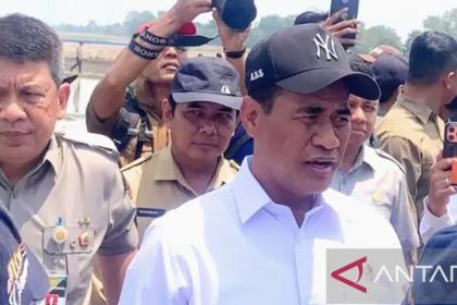 Mentan cek langsung kekeringan mengancam areal sawah di Karawang