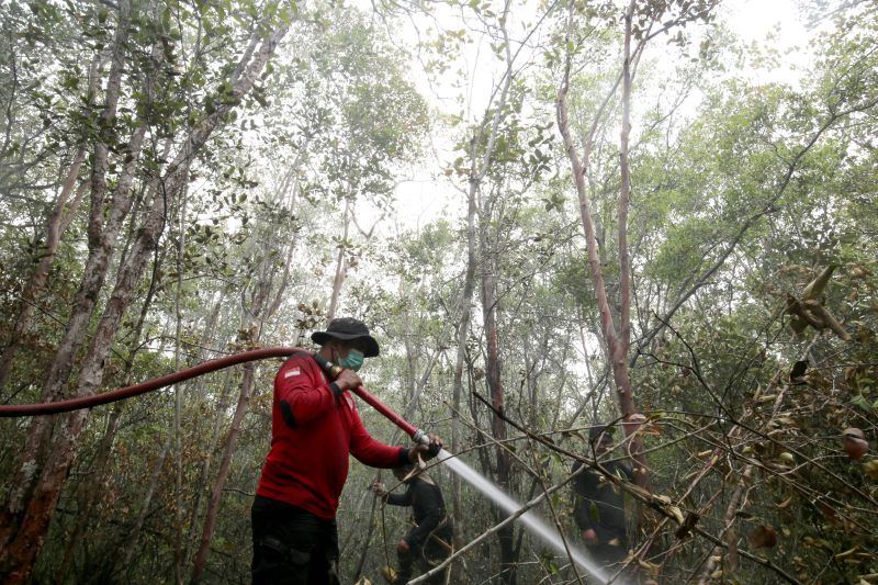 Menengok operasi pemadaman Karhutla di Palangka Raya