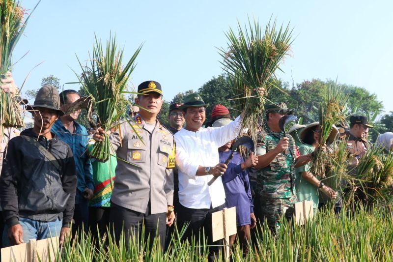 Pemkab Bandung siapkan pembebasan PBB bagi pemilik sawah LP2B