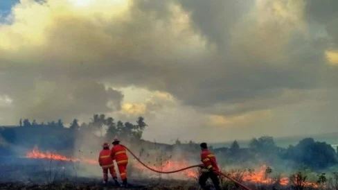Soal Karhutla hingga ASEAN, Jubir Kemlu: Masih Komunikasi dan Koordinasi dengan Negara-negara