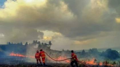 Soal Karhutla hingga ASEAN, Jubir Kemlu: Masih Komunikasi dan Koordinasi dengan Negara-negara