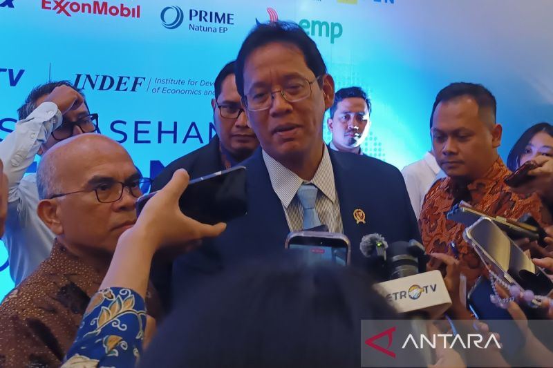 Menkeu sebut siap suntikan dana untuk daerah alami kendala keuangan