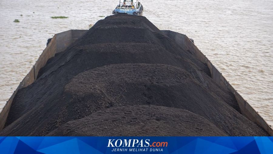 Berpotensi Ganggu Operasional Pembangkit, Pemerintah Diminta Kaji Ulang BLU Batubara