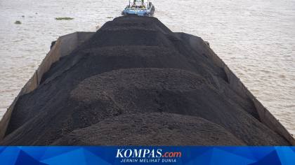 Berpotensi Ganggu Operasional Pembangkit, Pemerintah Diminta Kaji Ulang BLU Batubara