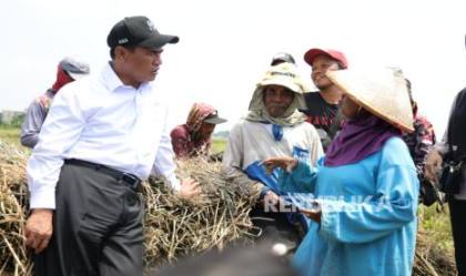 Mentan Amran, Dua Tahun Berkinerja Terbaik di Kabinet Merah Putih