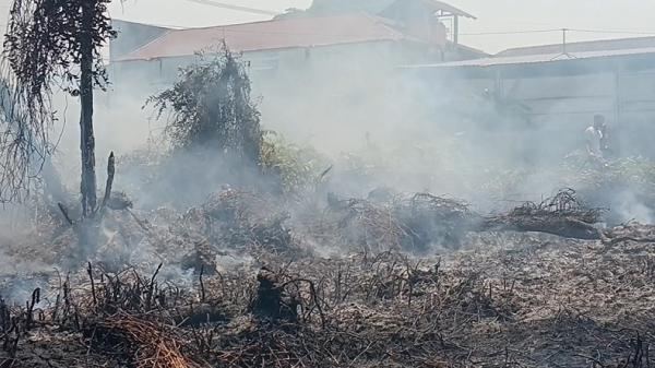113 Orang Jadi Tersangka Karhutla, Riau Paling Banyak