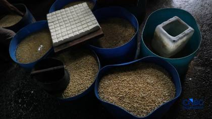 Perajin Tahu Tempe Beri Kabar Harga Kedelai Impor Naik, Ada Apa?