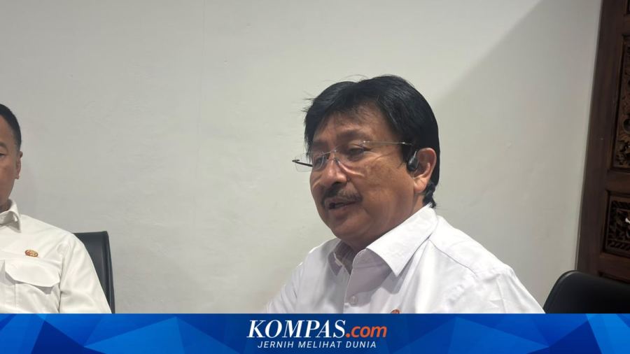 Kemenhub Buka Opsi Diskon Tiket Pesawat Saat Nataru