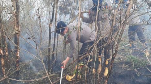 Enam Perusahaan Disanksi Kemenhut Buntut Karhutla 1.511 Hektare di Kalimantan