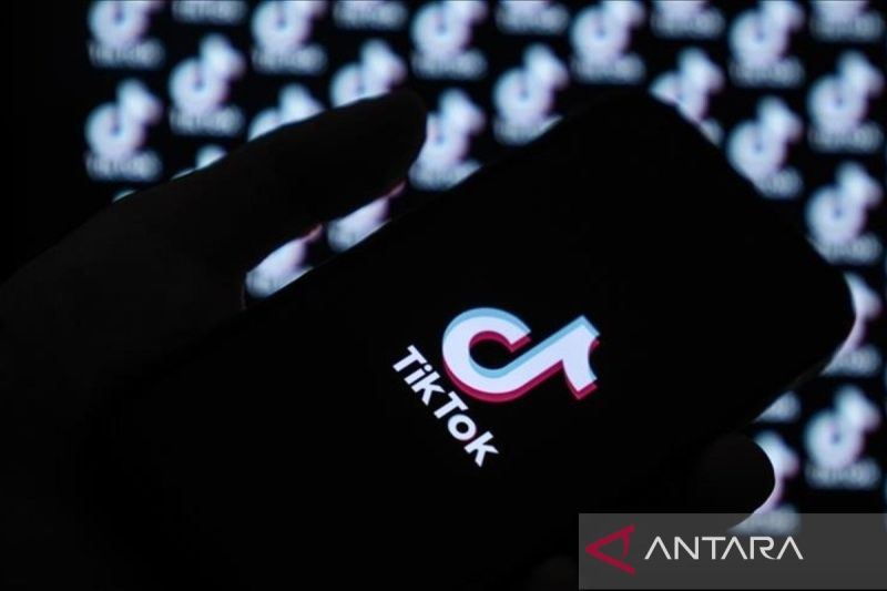 TikTok buat kolom komentar lebih interaktif dengan beragam fitur baru