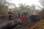 Hutan Kalimantan Sengaja Dibakar? Polisi Temukan 35 Korek Api, Bensin, dan Bibit Sawit