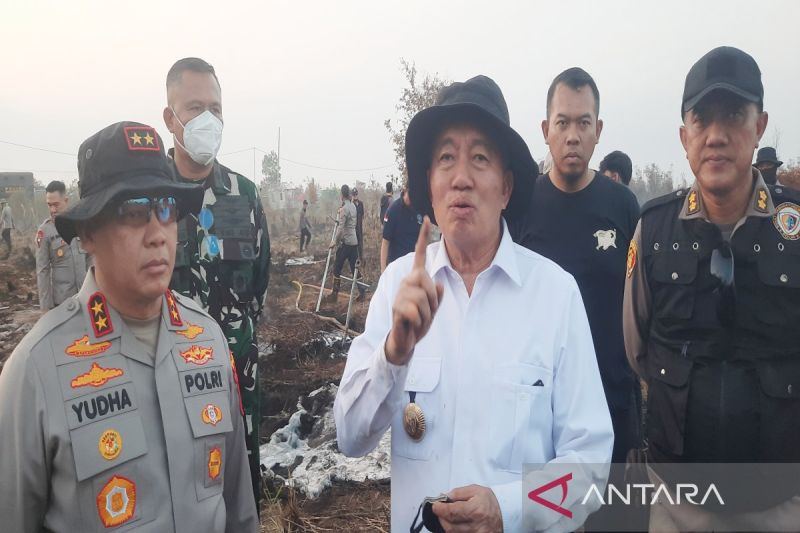 Gubernur Kalsel: Karhutla di ring 1 bandara mulai terkendali 